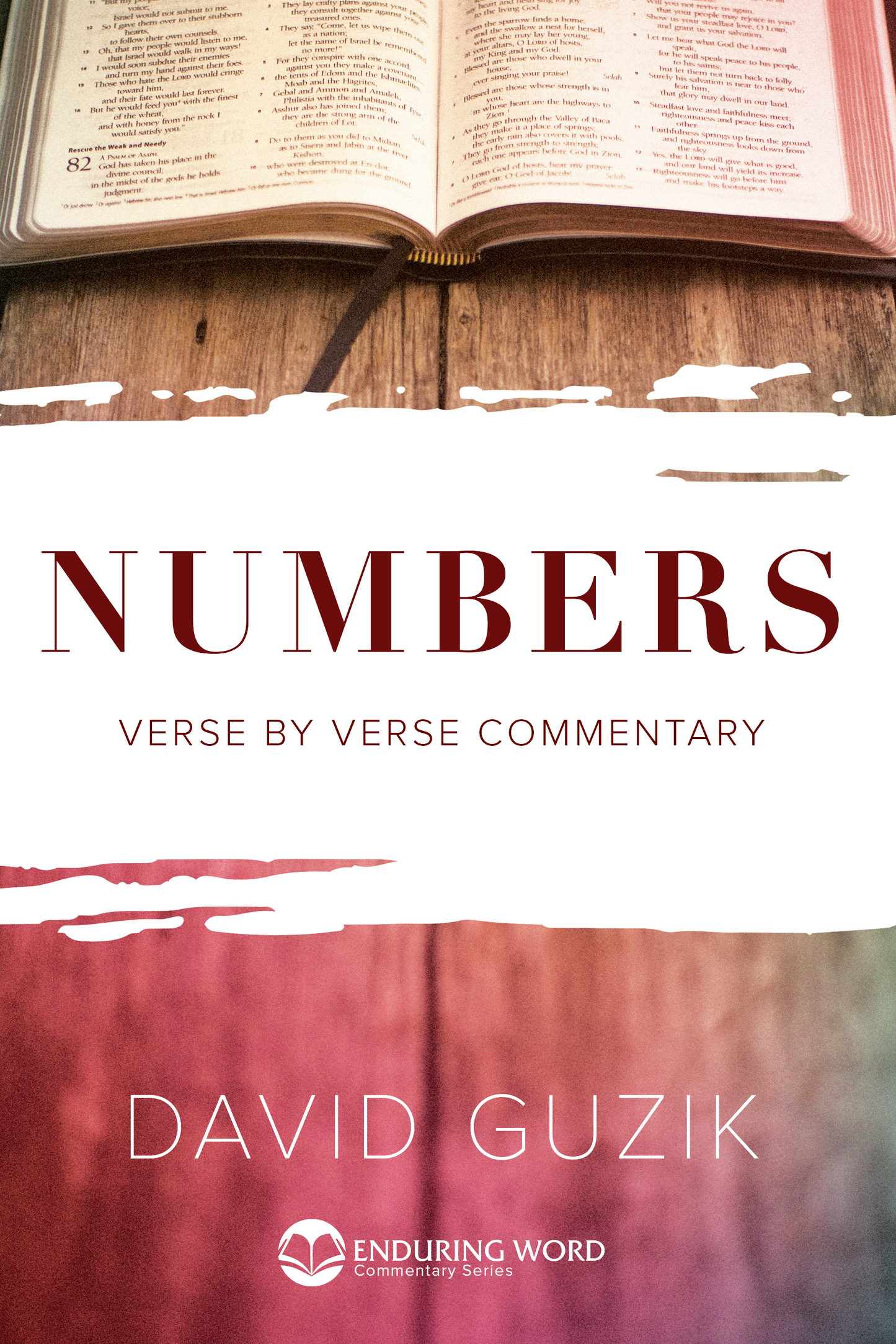 Print Commentary on Numbers by David Guzik